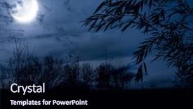  Presentation with winter forest night - Slides featuring autumn night forest alight background and a wine colored foreground