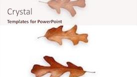  Presentation with autumn leaves - Audience pleasing theme consisting of autumn-oak-leaves-isolated backdrop and a lemonade colored foreground