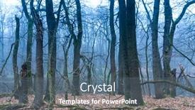  Presentation with oak forest - Audience pleasing slide set consisting of autumn-oak-trees-in-misty backdrop and a ocean colored foreground