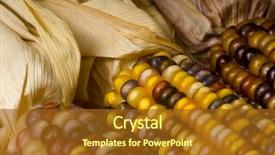  Presentation with multi - Cool new presentation with autumn or fall decoration items backdrop and a  colored foreground