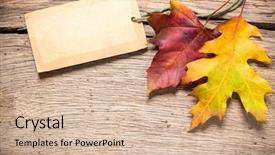  Presentation with maple leaves - Audience pleasing presentation theme consisting of autumn or fall sale tag backdrop and a soft green colored foreground