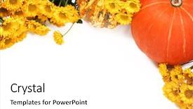  Presentation with flowers border - PPT theme featuring autumn or thanksgiving border pumpkins background and a  colored foreground