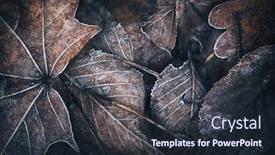  Presentation with autumn view autumn nature - PPT theme having autumn-or-winter-frozen-leaves background and a wine colored foreground