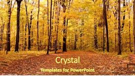  Presentation with autumn - Colorful presentation enhanced with green nature wide - autumn panorama backdrop and a red colored foreground