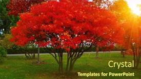  Presentation with fall foliage - PPT theme enhanced with autumn-park-with-colorful-fall background and a tawny brown colored foreground