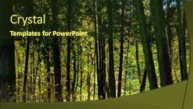  Presentation with ivy - Theme having autumn-park-with-ivy-belarus background and a  colored foreground