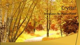  Presentation with nature sun leaves - Amazing theme having autumn path - beauty in nature leaves backdrop and a  colored foreground