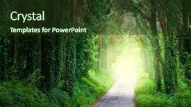  Presentation with dark forest - Colorful slide deck enhanced with autumn path - road in magic dark forest backdrop and a tawny brown colored foreground