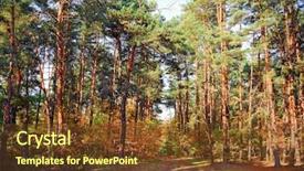  Presentation with path - Presentation theme having autumn path between trees fall background and a  colored foreground