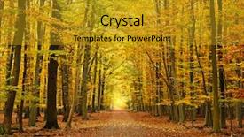  Presentation with pathway - Slide deck featuring autumn pathway background and a gold colored foreground