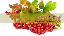  Presentation with chemistry leaves green leaf - Beautiful PPT theme featuring autumn plant branch and cluster backdrop and a gold colored foreground