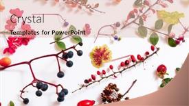  Presentation with plants - PPT theme consisting of autumn-plants-on-the-white background and a lemonade colored foreground