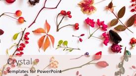 Presentation with plants - Beautiful PPT layouts featuring autumn-plants-on-the-white backdrop and a lemonade colored foreground