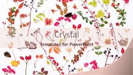  Presentation with plants - Amazing PPT theme having autumn-plants-on-the-white backdrop and a lemonade colored foreground