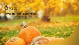  Presentation with thanksgiving - Colorful slide deck enhanced with autumn pumpkins in fallen leaves thanksgiving concept in outdoor backdrop and a gold colored foreground