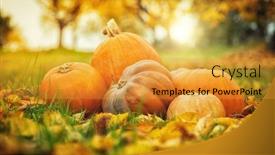  Presentation with thanksgiving - PPT layouts having autumn pumpkins in fallen leaves thanksgiving concept in outdoor background and a gold colored foreground