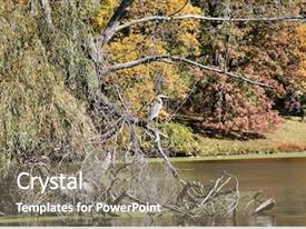 Autumn Reflection On Lake PPT template 0 | CrystalGraphics