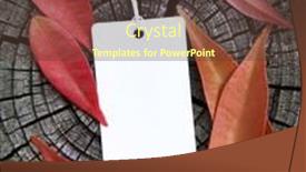  Presentation with autumn leaves - Presentation theme with autumn-sale-gift-tag-autumn background and a  colored foreground