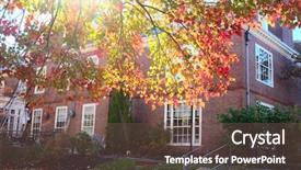  Presentation with scene - Slide set consisting of autumn scene at cambridge massachusetts background and a violet colored foreground