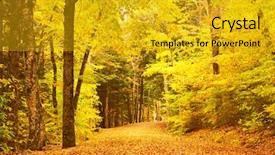  Presentation with scene - Slide set featuring autumn-scene-landscape-somewhere background and a gold colored foreground