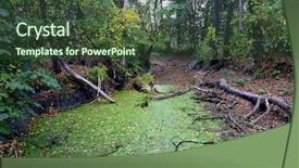  Presentation with scene - Slide deck with duckweek - autumn scene on bog background and a tawny brown colored foreground