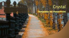  Presentation with budapest - Presentation theme having autumn-scene-on-the-streets background and a tawny brown colored foreground