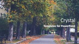  Presentation with budapest - Presentation enhanced with autumn-scene-on-the-streets background and a tawny brown colored foreground