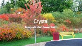  Presentation with crime scene philippines - Amazing PPT theme having autumn scene whit colorful foliage backdrop and a  colored foreground