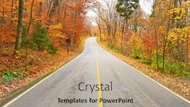  Presentation with forest road - 