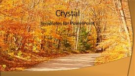  Presentation with forest road - Audience pleasing slide deck consisting of autumn-scene-with-road backdrop and a gold colored foreground