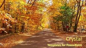  Presentation with forest road - Slide deck with autumn-scene-with-road background and a tawny brown colored foreground