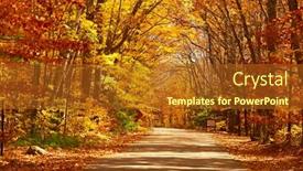  Presentation with forest road - Colorful PPT layouts enhanced with autumn-scene-with-road backdrop and a tawny brown colored foreground