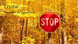  Presentation with road stop sign - PPT layouts having autumn scene with road and stop sign in forest background and a gold colored foreground