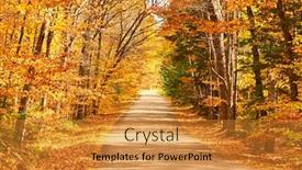  Presentation with forest road - Theme having autumn-scene-with-road background and a gold colored foreground