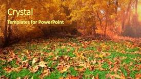  Presentation with scene - Slides having autumn scene background and a tawny brown colored foreground