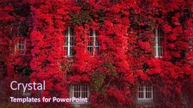  Presentation with autumn leaves - Presentation theme enhanced with autumn-scenery-of-gdansk background and a tawny brown colored foreground