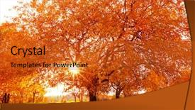  Presentation with fall leaves border autumn - Presentation with autumn scenery with dry leaves background and a  colored foreground