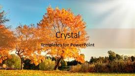  Presentation with fall leaves border autumn - Audience pleasing presentation consisting of autumn scenery with dry leaves backdrop and a gold colored foreground