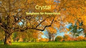  Presentation with sunshine - Beautiful slides featuring autumn scenery with dry leaves and sunshine backdrop and a tawny brown colored foreground