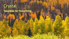  Presentation with season - 