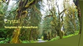  Presentation with beautiful landscapes - PPT theme consisting of autumn-season-in-hoh-rainforest background and a tawny brown colored foreground
