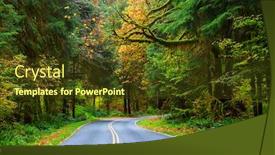  Presentation with beautiful landscapes - Slides enhanced with autumn-season-in-hoh-rainforest background and a tawny brown colored foreground