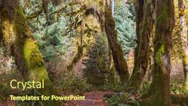  Presentation with beautiful landscapes - PPT layouts enhanced with autumn-season-in-hoh-rainforest background and a tawny brown colored foreground