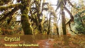  Presentation with olympic - Slide set featuring autumn-season-in-hoh-rainforest background and a tawny brown colored foreground