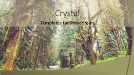  Presentation with beautiful landscapes - Slide deck featuring autumn-season-in-hoh-rainforest background and a soft green colored foreground