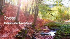  Presentation with jungle - Presentation featuring autumn selva de irati fall beech jungle in navarra pyrenees of spain background and a tawny brown colored foreground