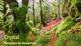 Presentation with fall - Cool new presentation design with autumn selva de irati fall beech jungle in navarra pyrenees of spain backdrop and a tawny brown colored foreground