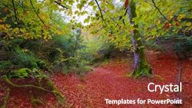 Presentation with jungle - Audience pleasing presentation design consisting of autumn selva de irati fall backdrop and a tawny brown colored foreground