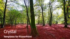  Presentation with fall leaves border autumn - Slide deck enhanced with autumn selva de irati fall beech jungle in navarra pyrenees of spain background and a tawny brown colored foreground