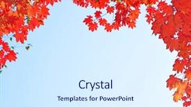  Presentation with maple leaves - Colorful theme enhanced with autumn skies - fall red maple leaves backdrop and a sky blue colored foreground